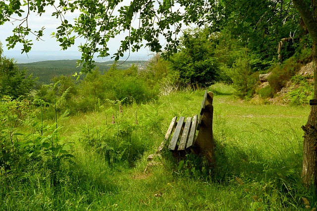 顾一些经典 顾一些经典